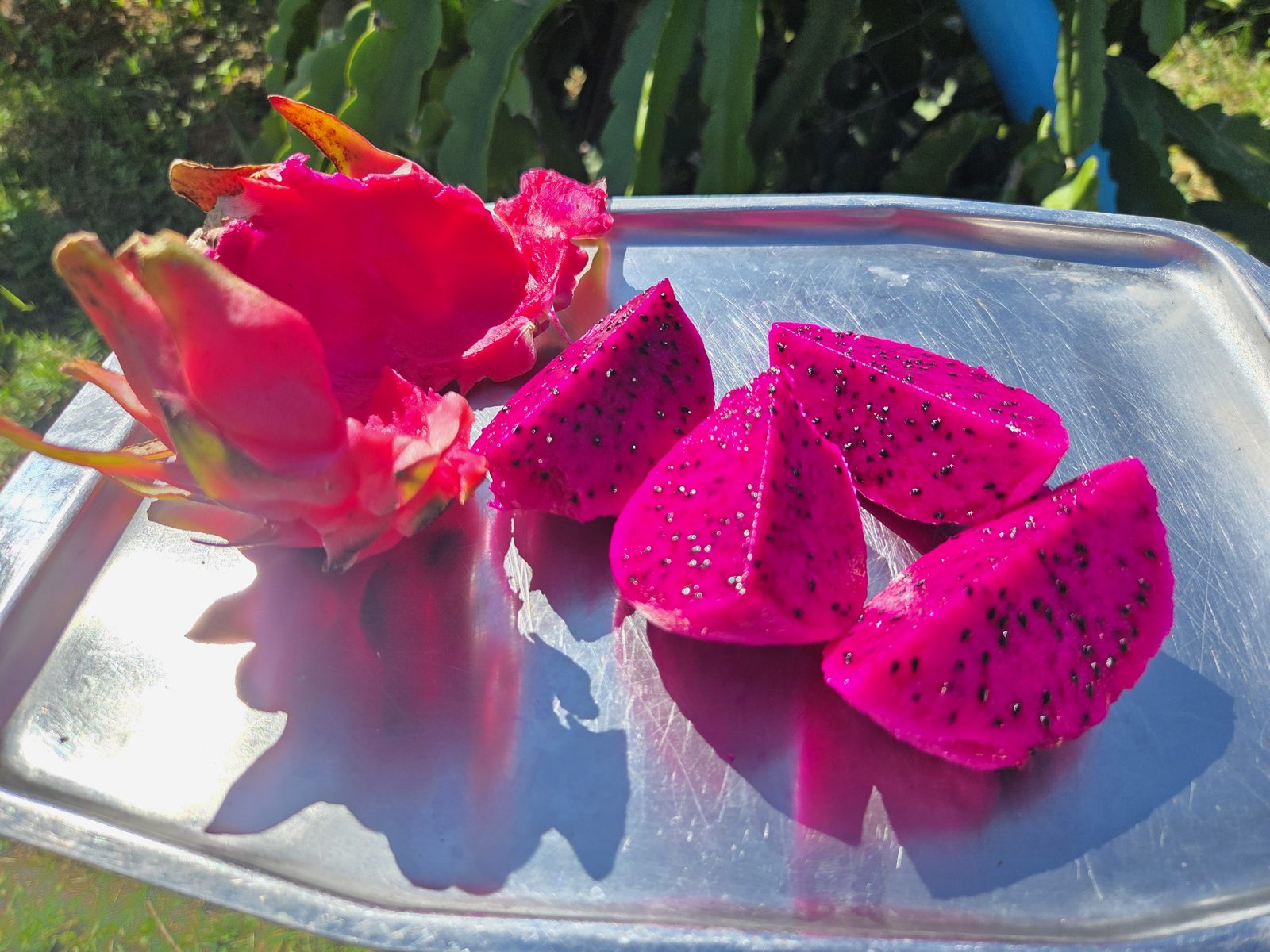 Ruby Red dragon fruit cut open, showing deep red flesh